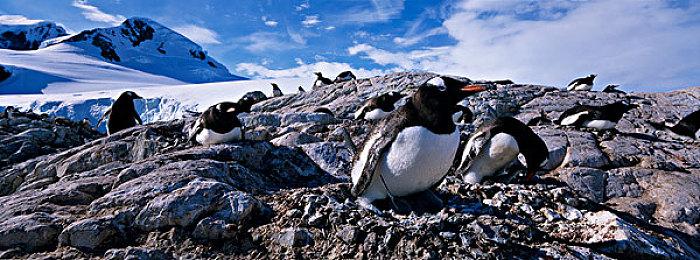 任天堂Switch现首个破解卡带 号称不可被官方屏蔽